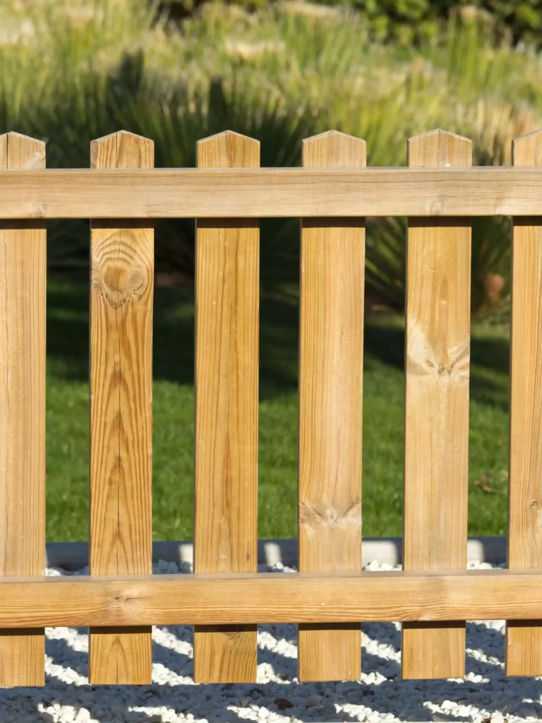 Affordable Fence Painting in Phoenix